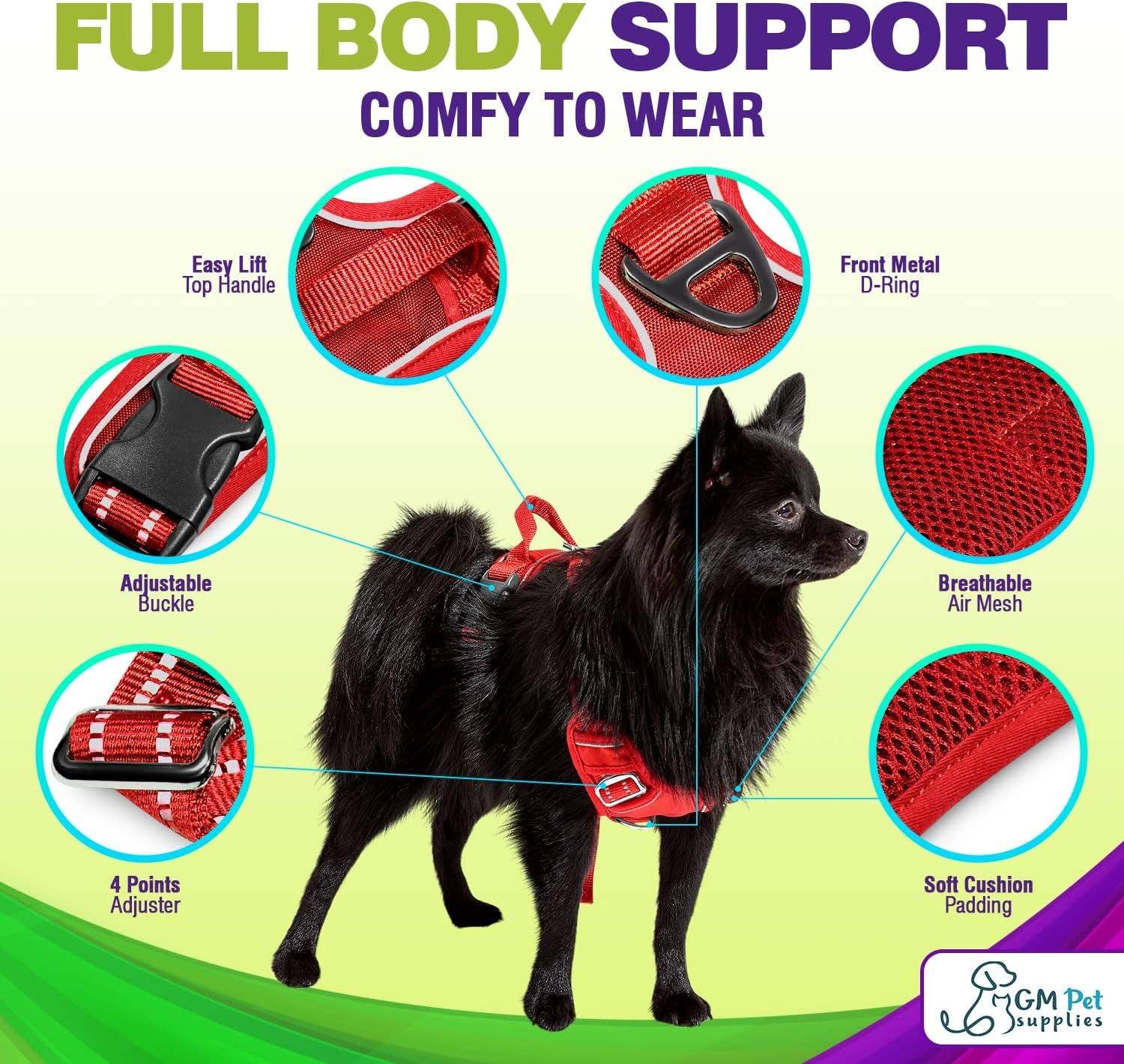 Katziela - Wholesale Pet Harness - Dog - Dog Harness Walking kit and Leash Set14