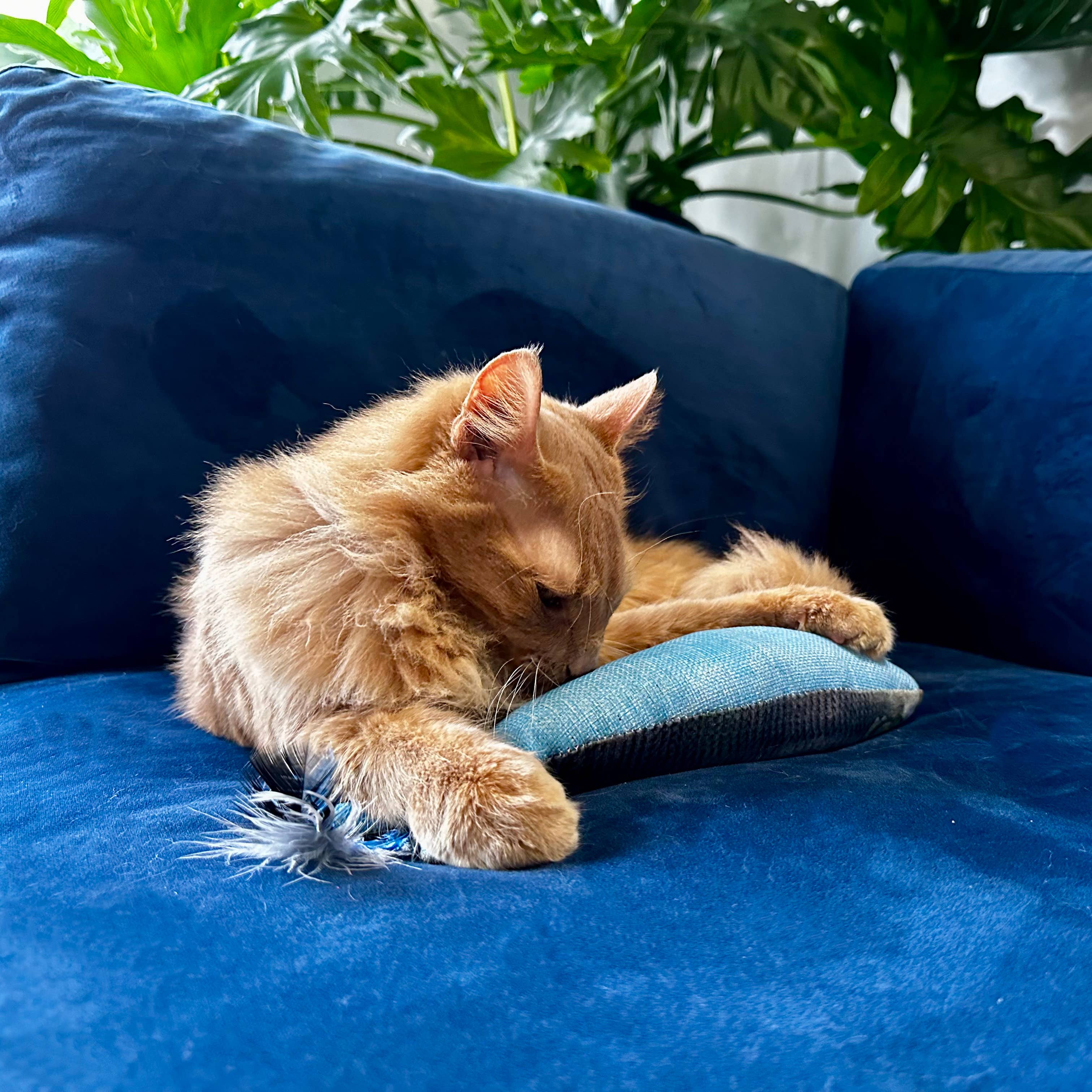 Huxley & Kent - Wholesale Pet Toy - Cat - Sardine Kicker Cat Toy5