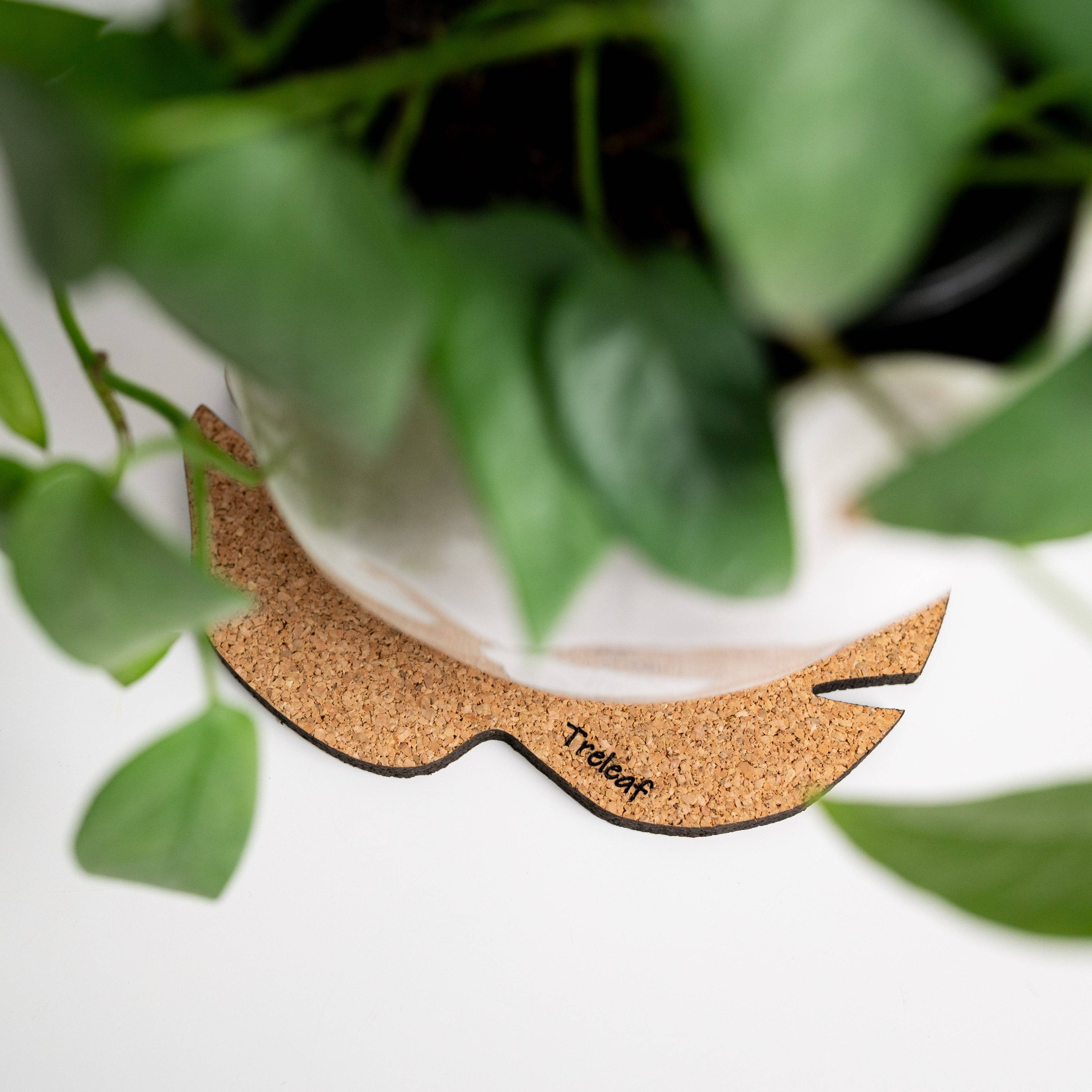 Treleaf - Wholesale Plant pot - Kostr™ - Monstera Leaf-shaped  cork plant pot coaster2