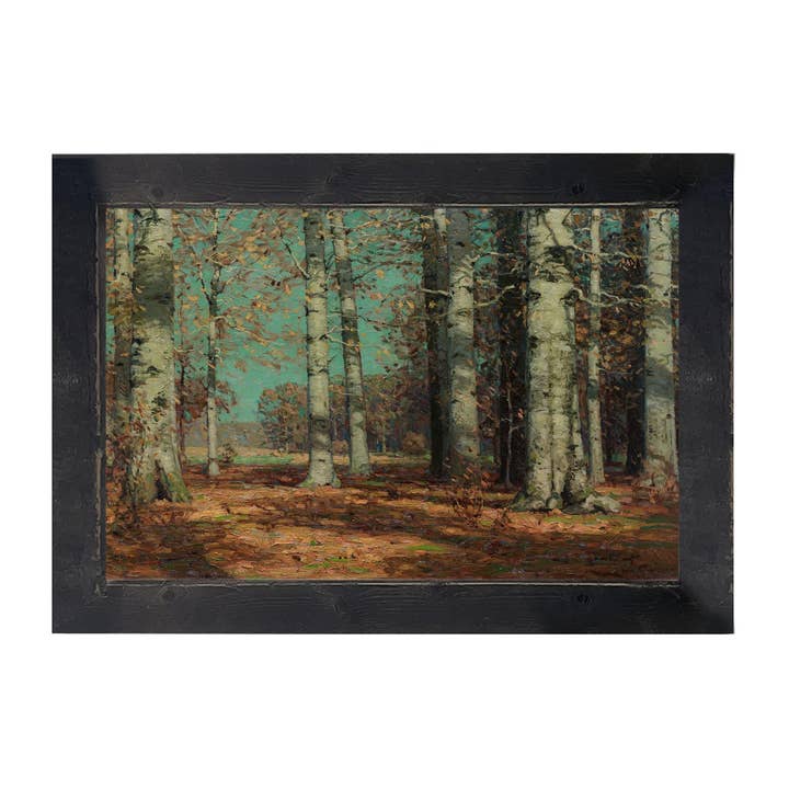 Bouleaux d'automne ensoleillés pour la vente par ginger blue