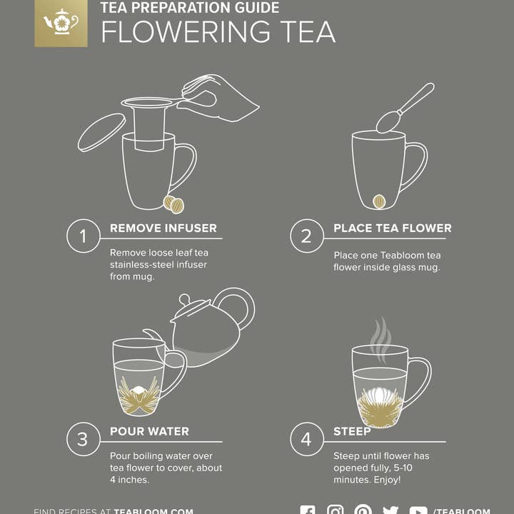 Teabloom - Wholesale Coffee Mug - Teabloom Venice Insulated Glass Mug w/ Infuser & Lid/Coaster