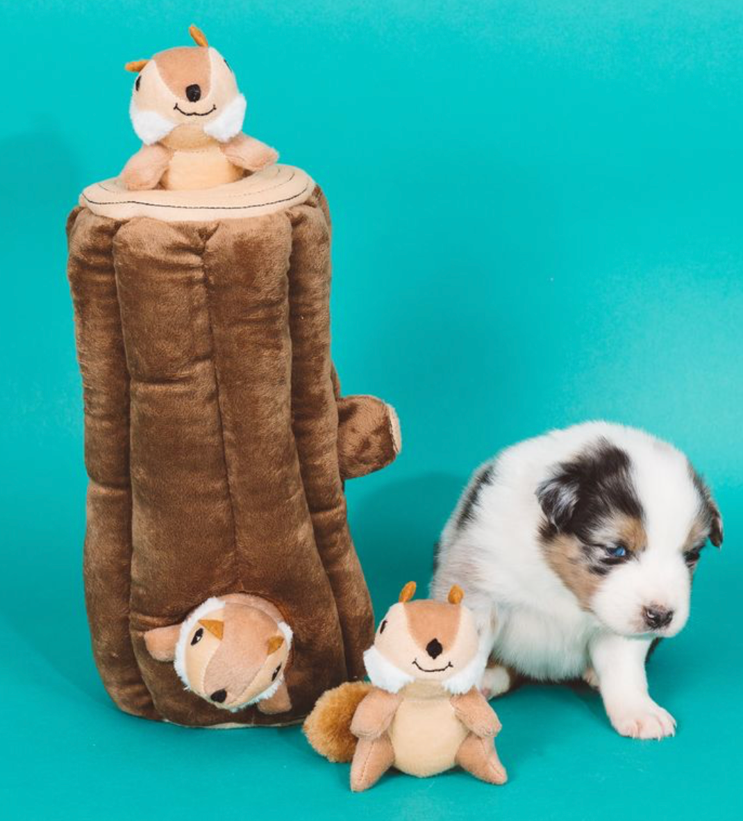 ZippyPaws - Vente Peluche – chien - Zippy Burrow - Jouet pour chien « bûche » avec 3 tamias couinants7