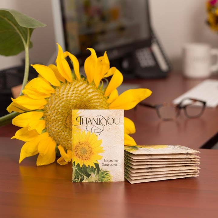 Bentley Seed Co. - Wholesale Thank You Card - Thank You - Mammoth Sunflower5