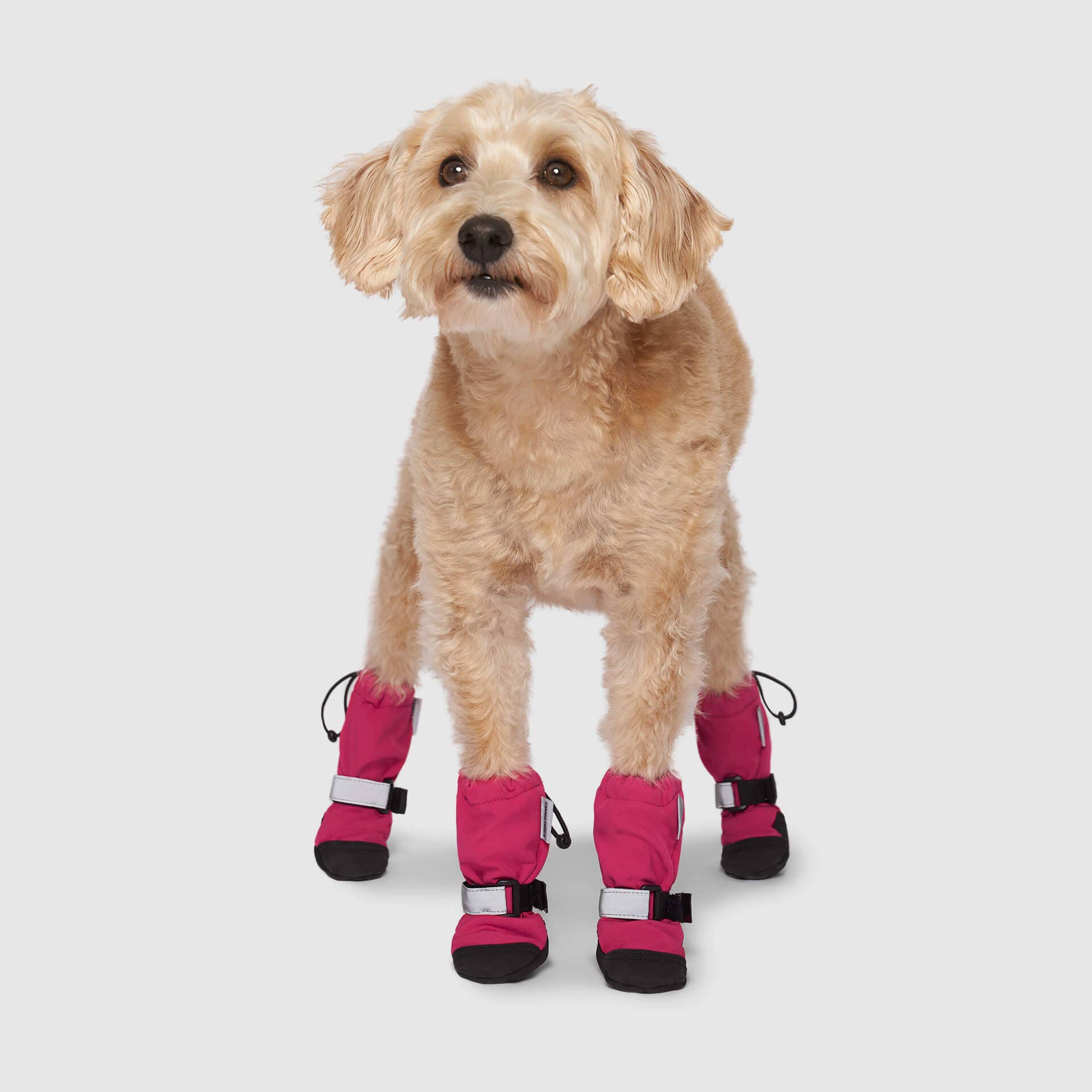 Canada Pooch - Wholesale Pet Boots - Dog - Soft Shield Boots- Dog Boots10