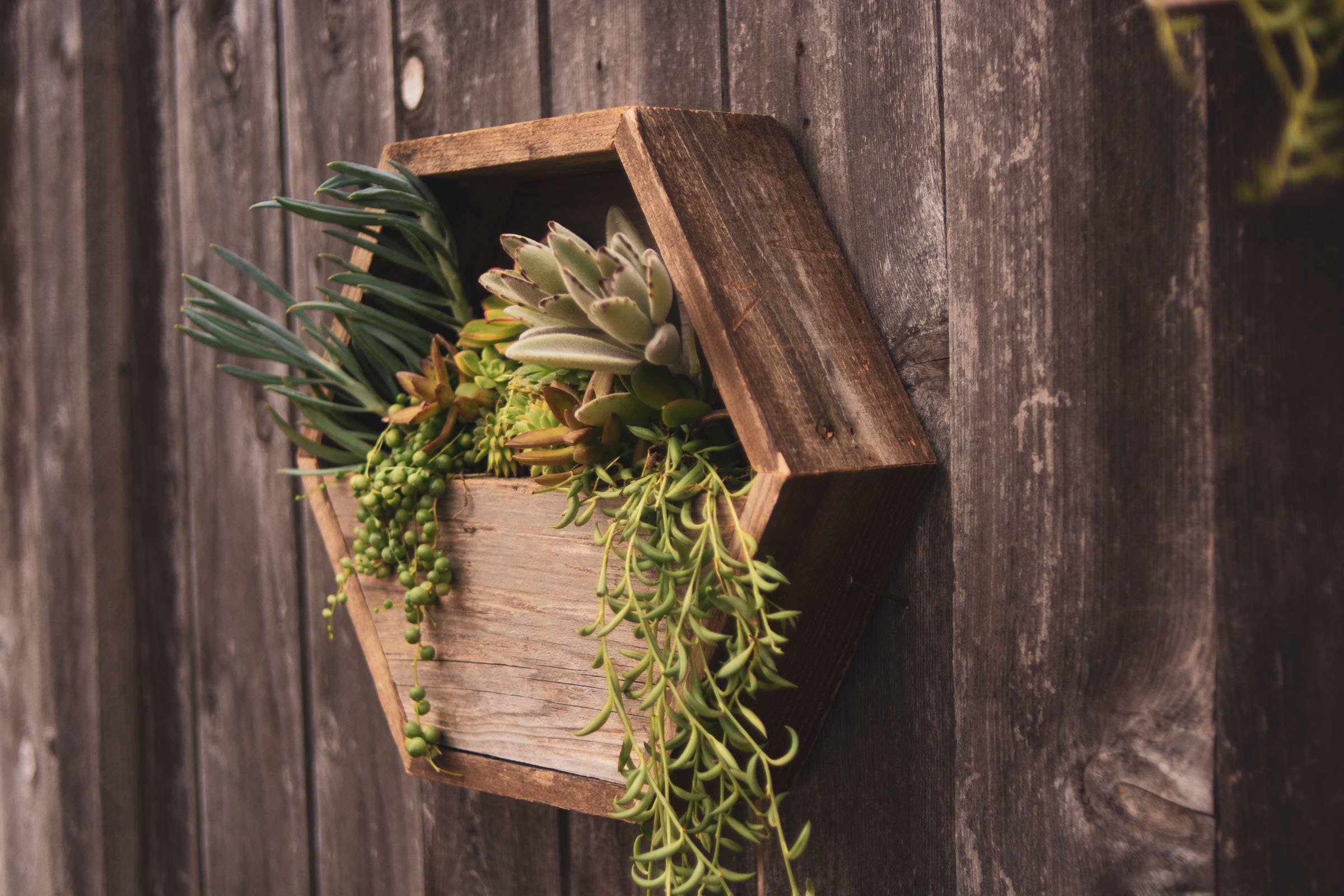 Love Reclaimed - Wholesale Plantenbak voor aan de muur - Reclaimed houten hexagonale plantenbak / geometrische wandplantbak1