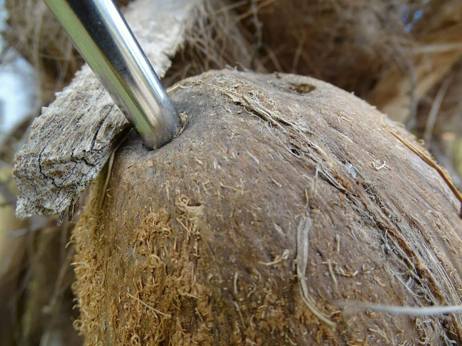 UNIGREEN - Wholesale Drink Stirrer - Curved stainless steel STRAW6