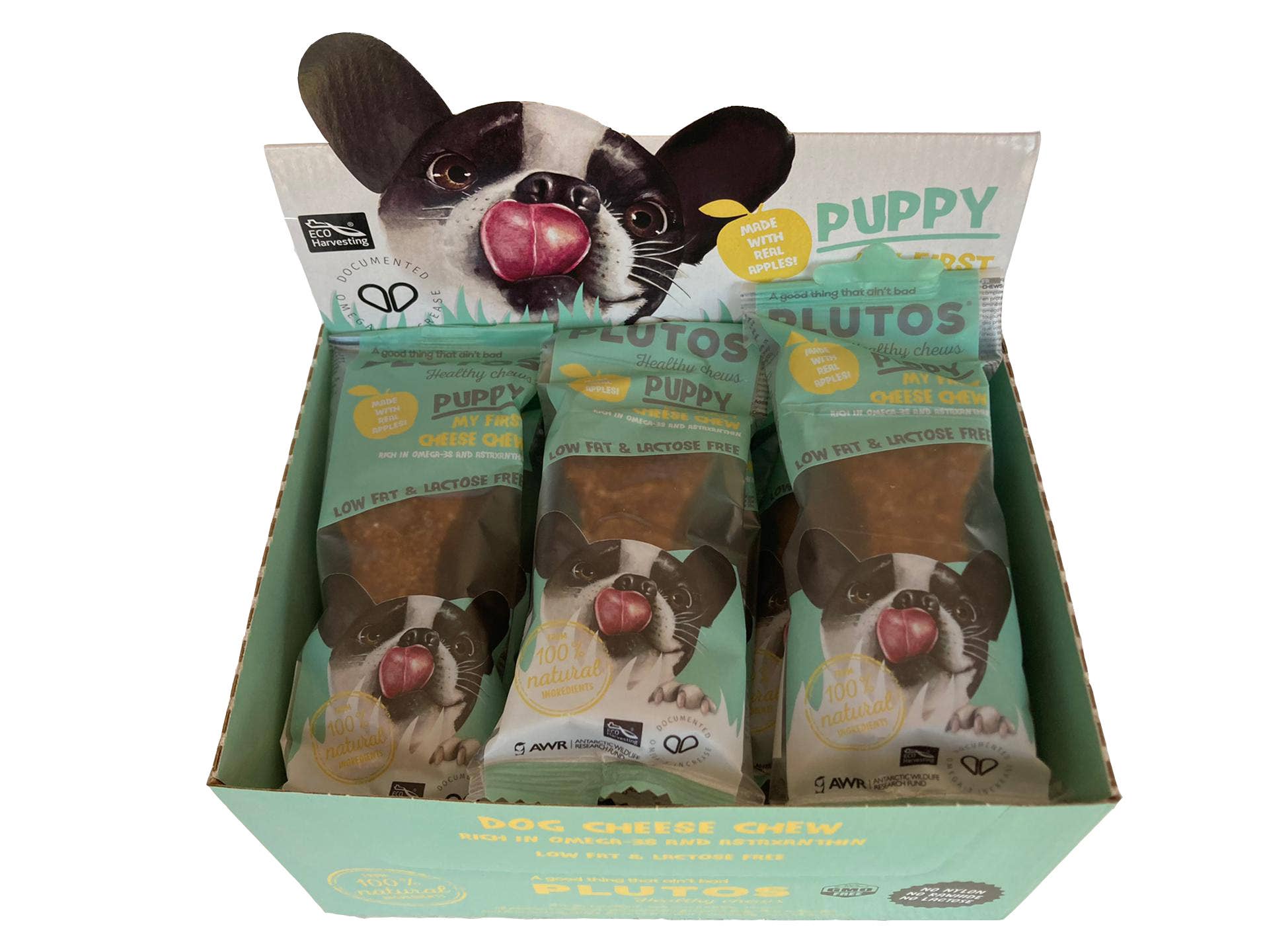 Cernunos - Wholesale Pet Treats - Dog - Plutos chewing bones with cheese4