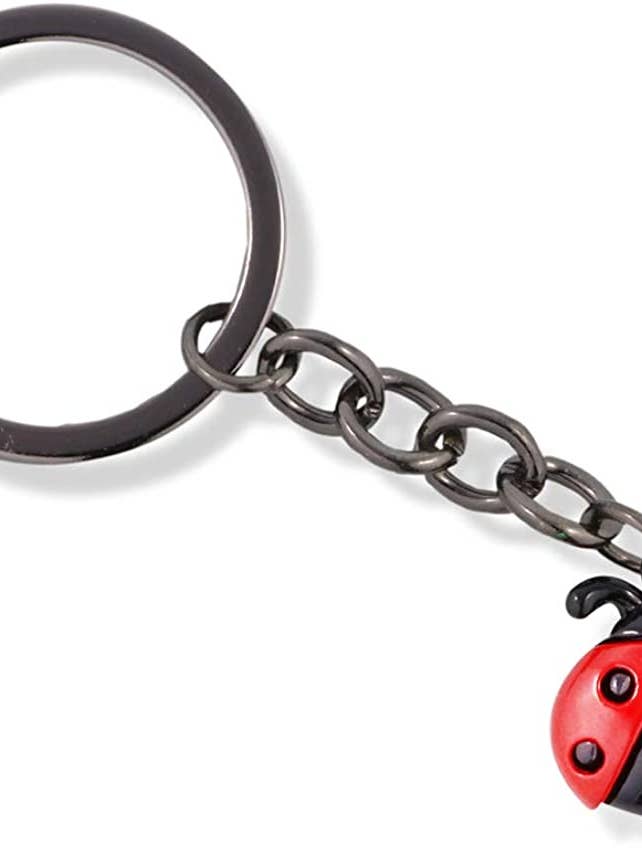 Porte-clés à breloque Coccinelle noire et rouge avec quatre points noirs sans pieds et deux antennes pour la vente par Dave The Bunny