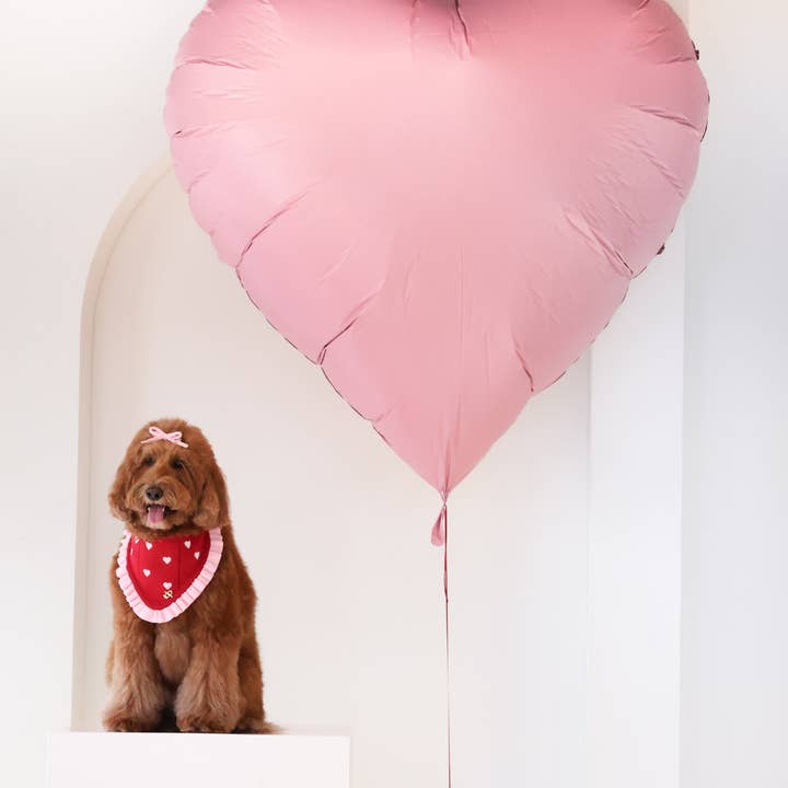 The Deluxe Pup - Wholesale Pet Bandana - Dog - BANDANA | CHÉRIE6