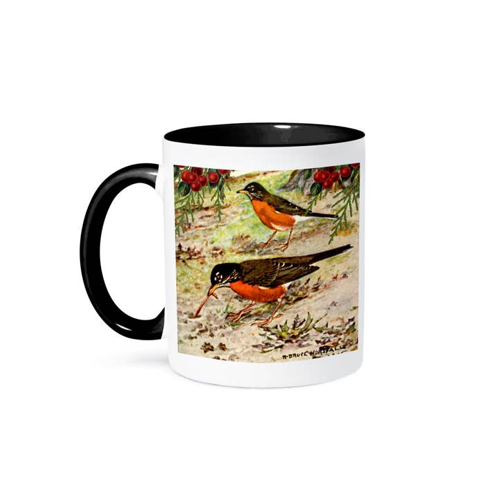 3dRose, Vintage Bird Art American Robin Catches Worm - Robins Birds Feeding, Mug and other Purchase Wholesale robin jug. Free Returns & Net 60 Terms on Faire trending on Faire.