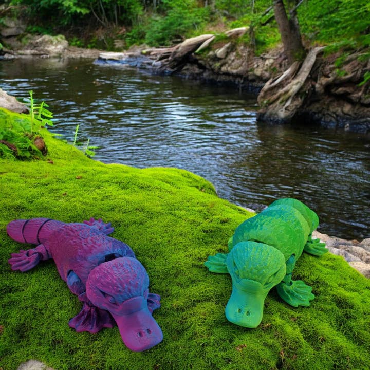 Fantasy Pets - Wholesale Decorative Figurine - Splashfoot Platypus3