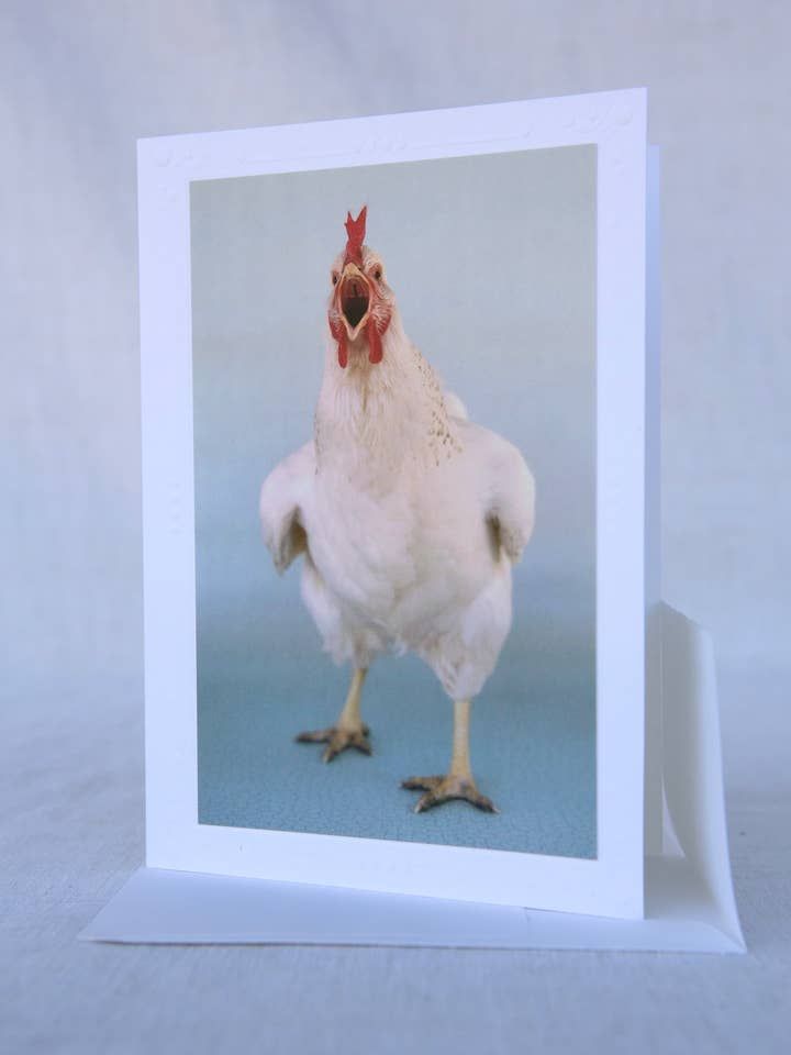 Stop! - Rescue - Handgemaakte wenskaart voor wholesale door Sonoma Chicks