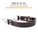 Mighty Paw - Wholesale Pet Collar - Dog - Leather Martingale Training Collar2