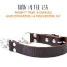 Mighty Paw - Wholesale Pet Collar - Dog - Leather Martingale Training Collar2