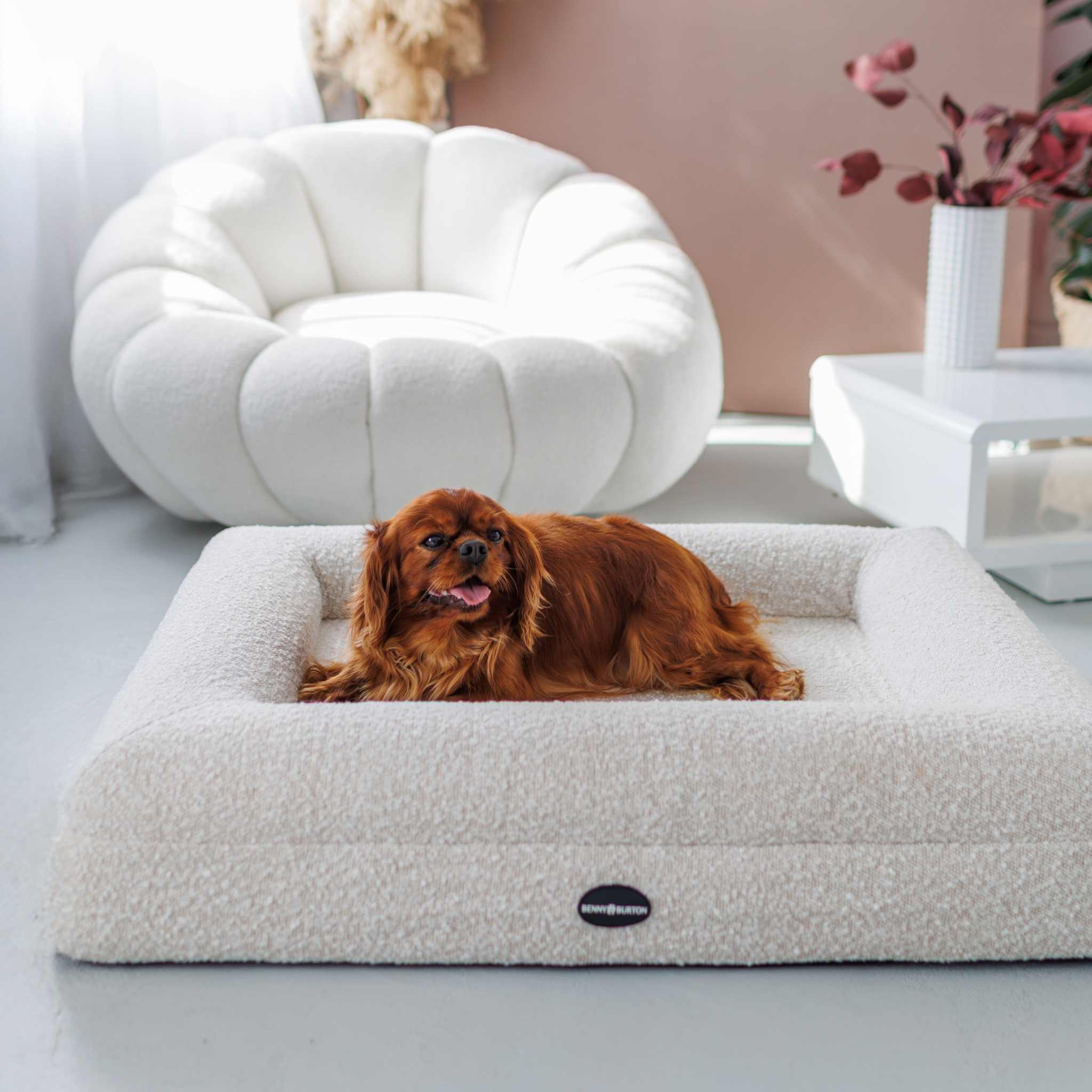 BennyBurton (Walk-Buddy Hundezubehör) - Wholesale Pet Bed - Dog - Barklay Dog Bed Size S with Bouclé Cover2