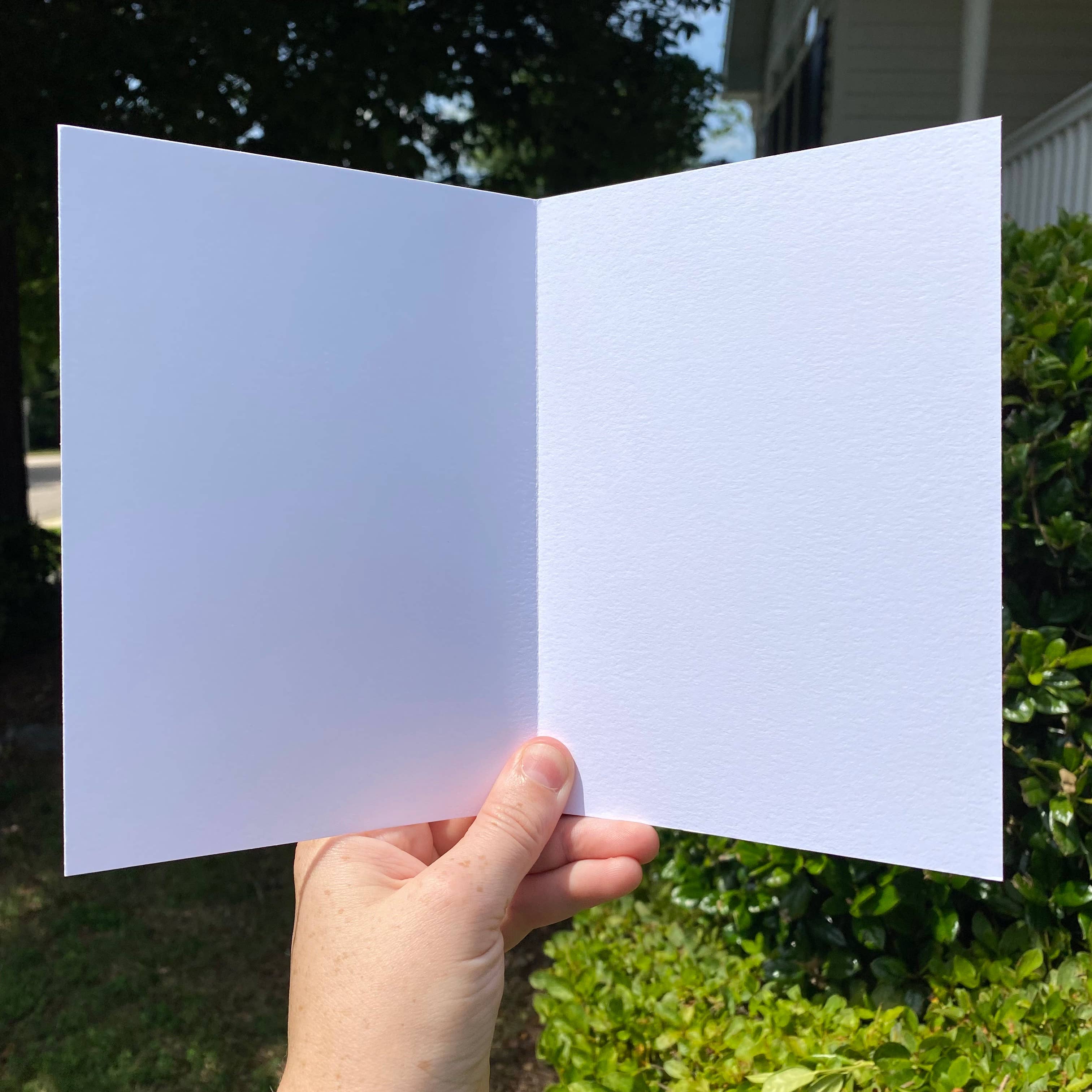 Victoria Lowry Art - Vente Cartes d'anniversaire - Carte d'anniversaire Party Pooper1