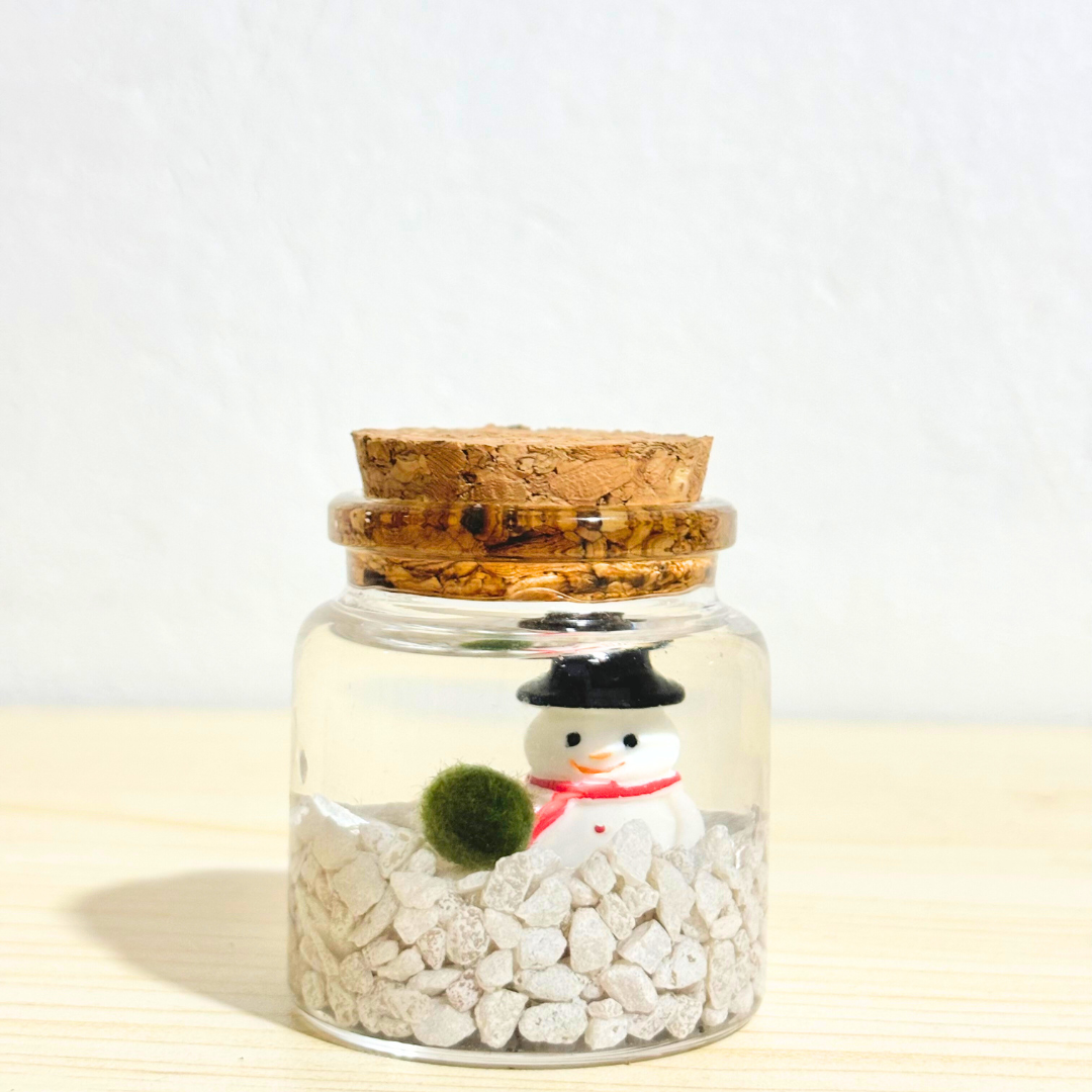 Moss Amigos | Moss Ball Terrariums - Wholesale Live Plant - Holiday Moss Rico1