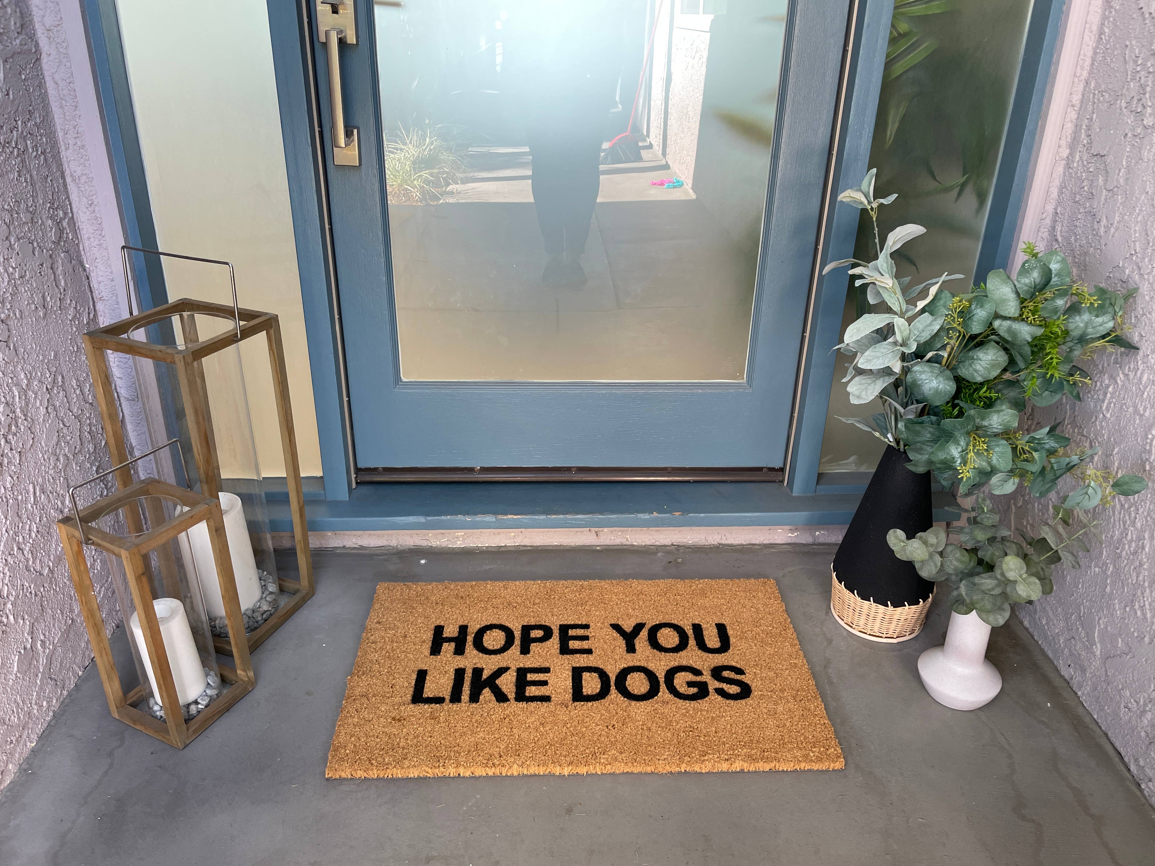 Nickel Designs Doormats - Wholesale Door Mat - Hope You Like Dogs Funny Doormat1