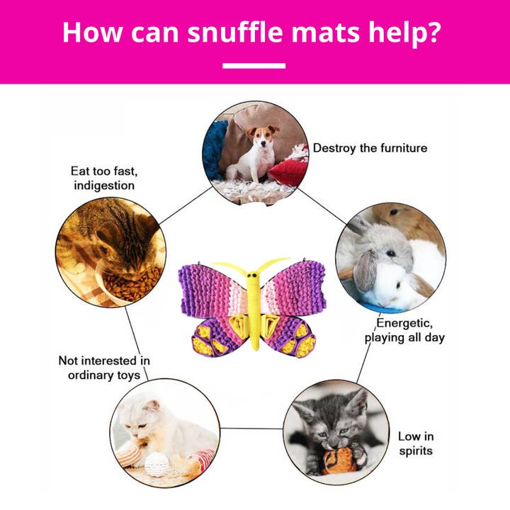 PawzNDogz - Wholesale Pet Mat - Dog - Radiant Butterfly™ Snuffle Mat | Challenge Level 33