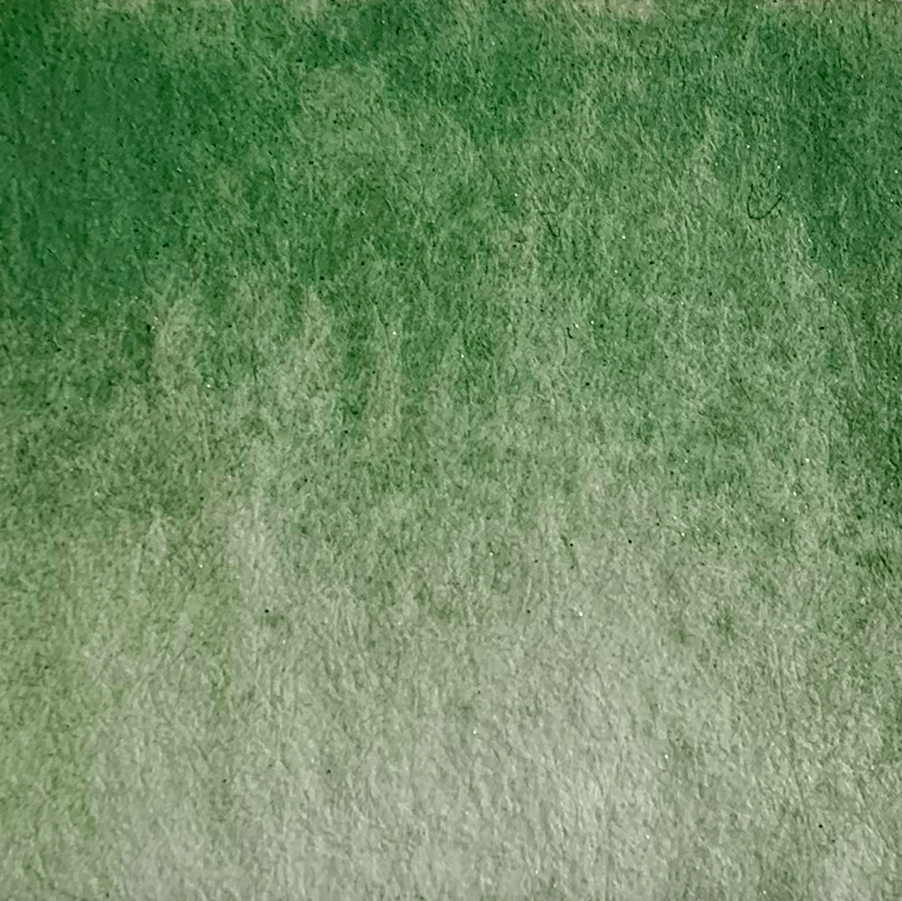 LA NOUVELLE VAGUE COULEURS - Wholesale Watercolor Paint - Handmade watercolor - Matcha green1