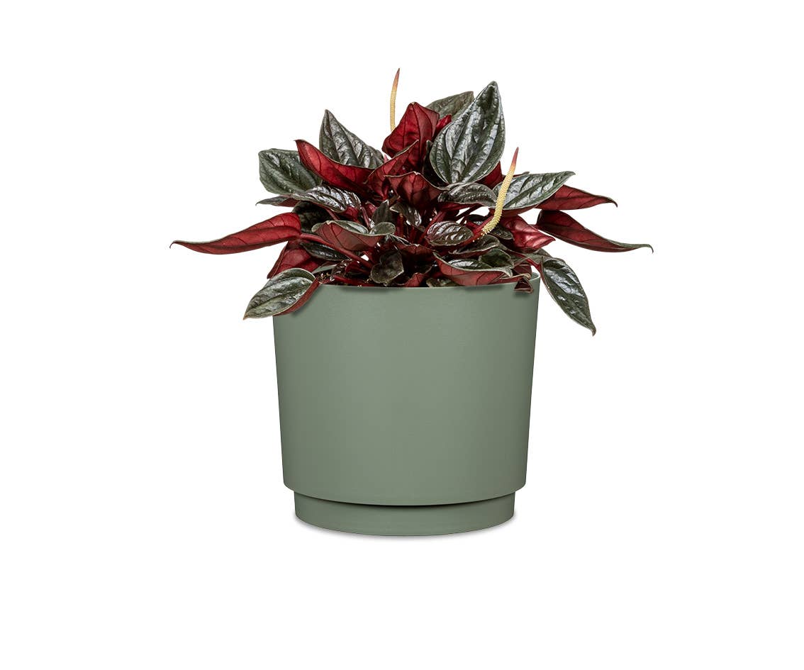 Scheurich - Wholesale Plant Pot - Flowerpot/Planter Plano 236/13 - 21 made of plastic3