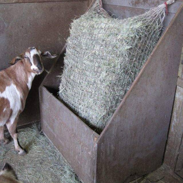 Kensington - Wholesale Pet Bowl - Cat/Dog - Slow Feed - Full Bale Freedom Feeder - Capacity: 3 String Bale