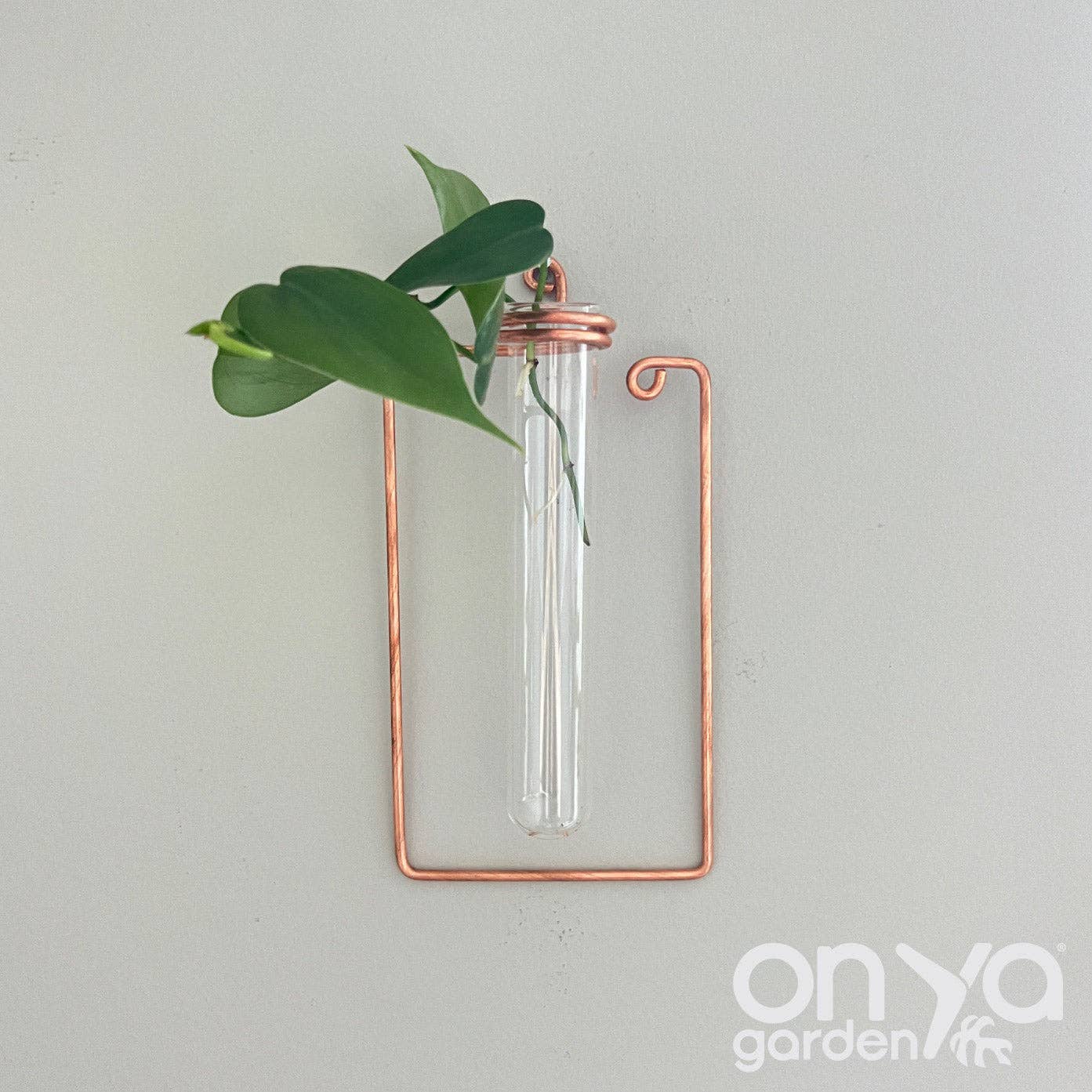 On Ya Garden - Wholesale Hanging Planter - Copper Rectangle Propagation Wall Vase, Hanging Propagation Station
