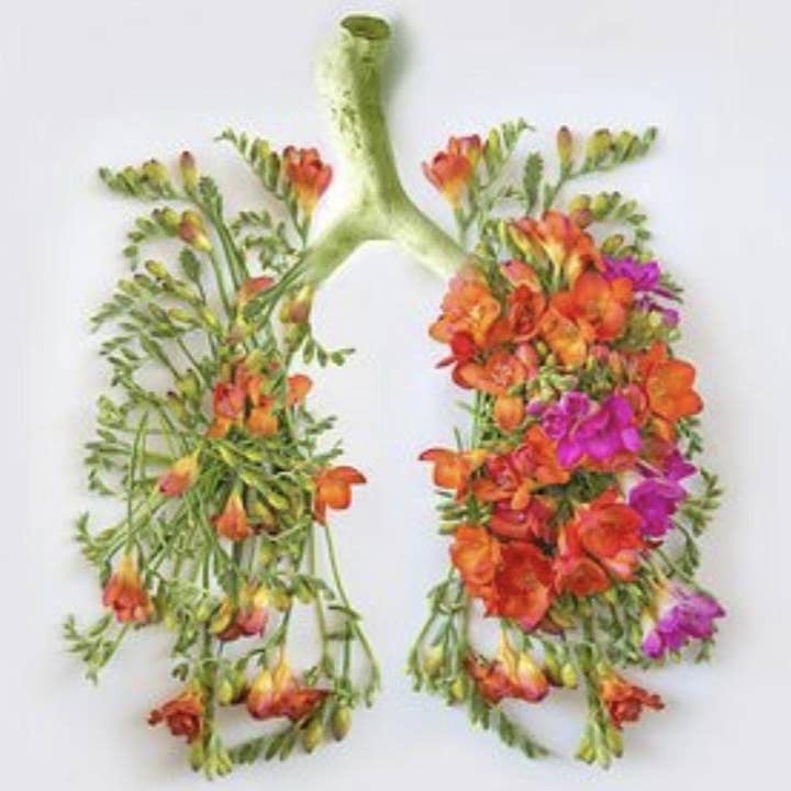 Lung Tonic Tea for wholesale by Modern Herbal Apothecary