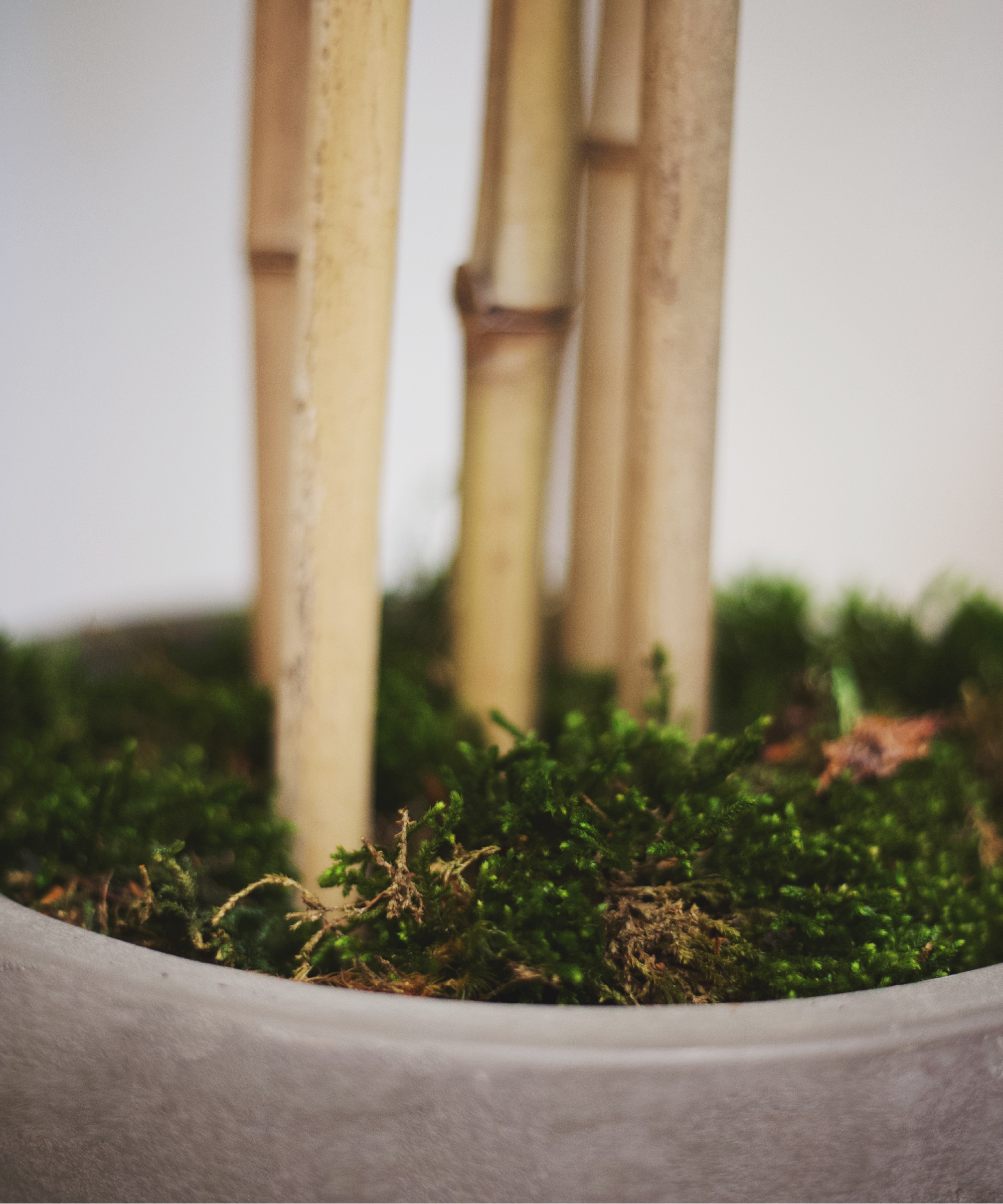 Maia Shop - Wholesale Artificial Plant - Artificial Bamboo 150 cm2