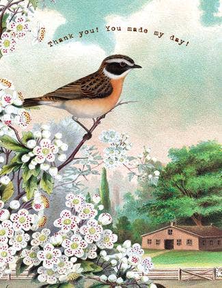 Cartolina Cards Inc. – wholesale Thank you card – CC660 Thank You - You Made My Day!0