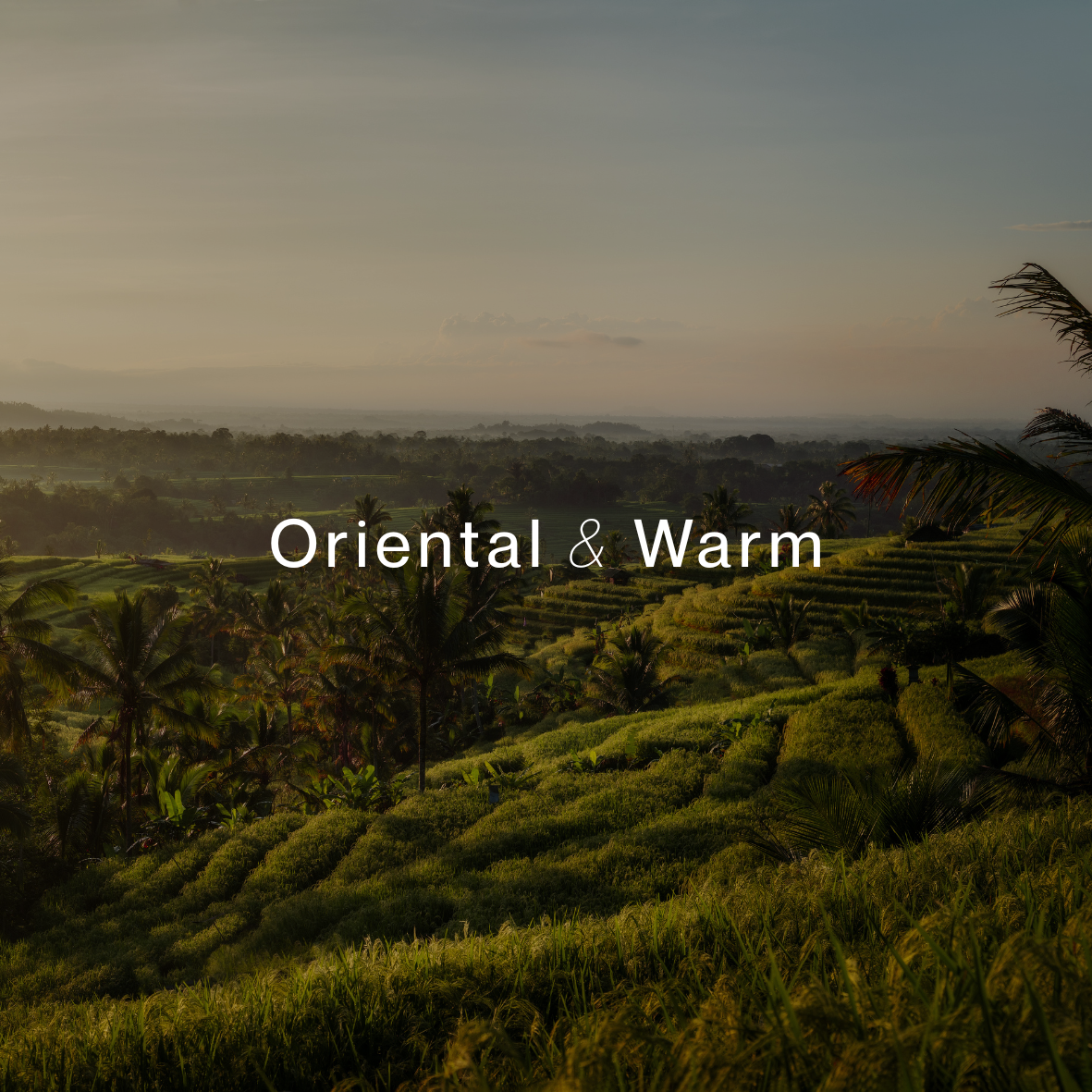 Casale - Wholesale Jar/Filled Candle - Ubud Single Wicked Soy Candle (8oz / 226g)1