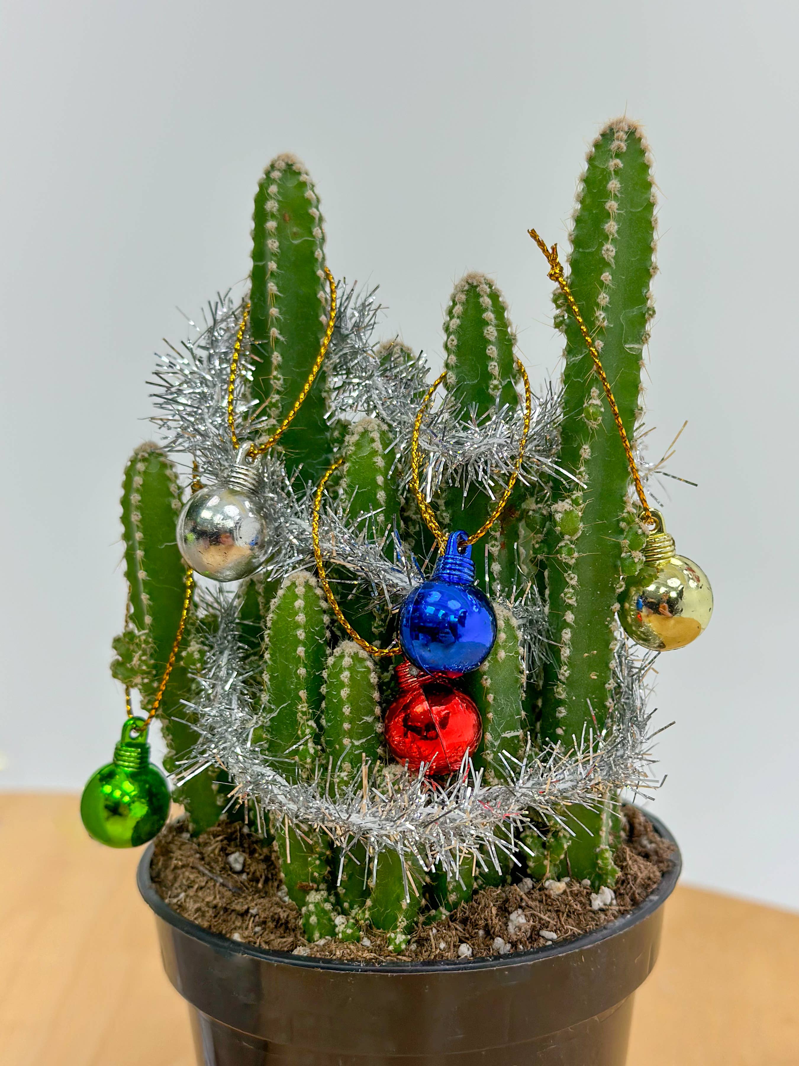 The Plant Supply - Wholesale Christmas Decoration - Plant Decoration Kit With Working Christmas Lights4