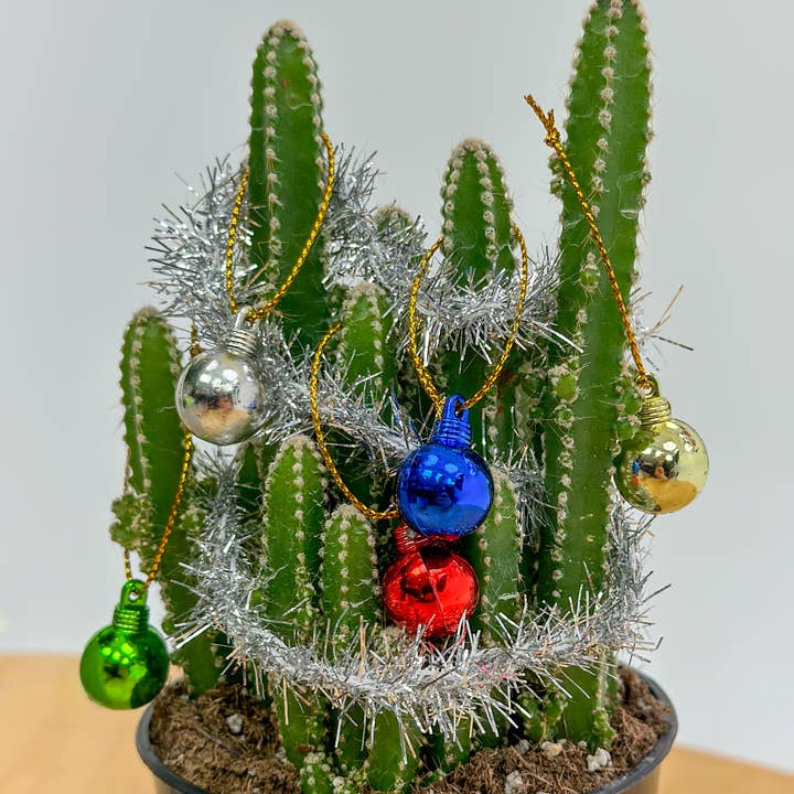 The Plant Supply - Wholesale Christmas Decoration - Plant Decoration Kit With Working Christmas Lights4