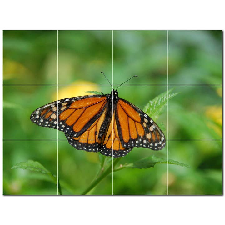 Butterfly Ceramic Tile Ceramic Tile Mural PT500302 for wholesale by Picture-Tiles.com