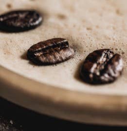 Solo Coffee - Wholesale Iced Coffee/Cold Brew - Expresso Strength Cold Brew Coffee Concentrate (32oz). 11