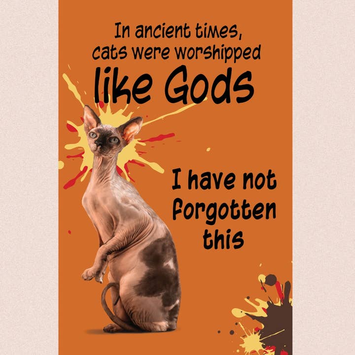 purrPETuallove - Wholesale Everyday Greeting Card - Gods - Sphynx - Cat