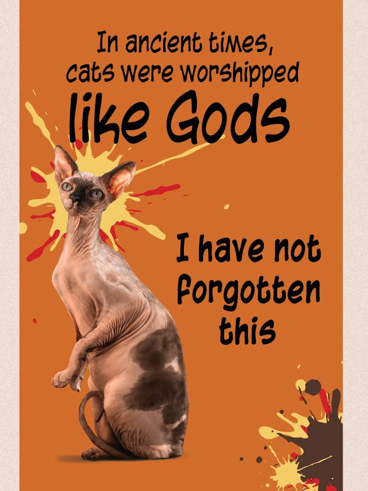 Gods - Sphynx - Cat for wholesale by purrPETuallove