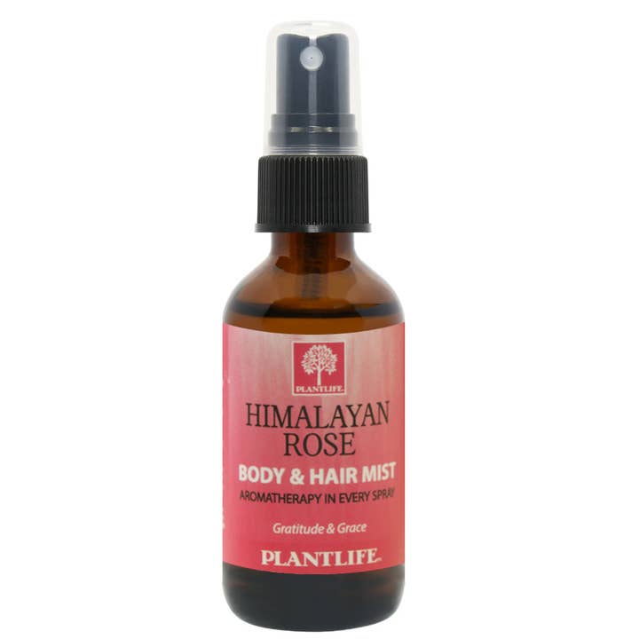 Brume de roses de l'Himalaya pour la vente par Plantlife
