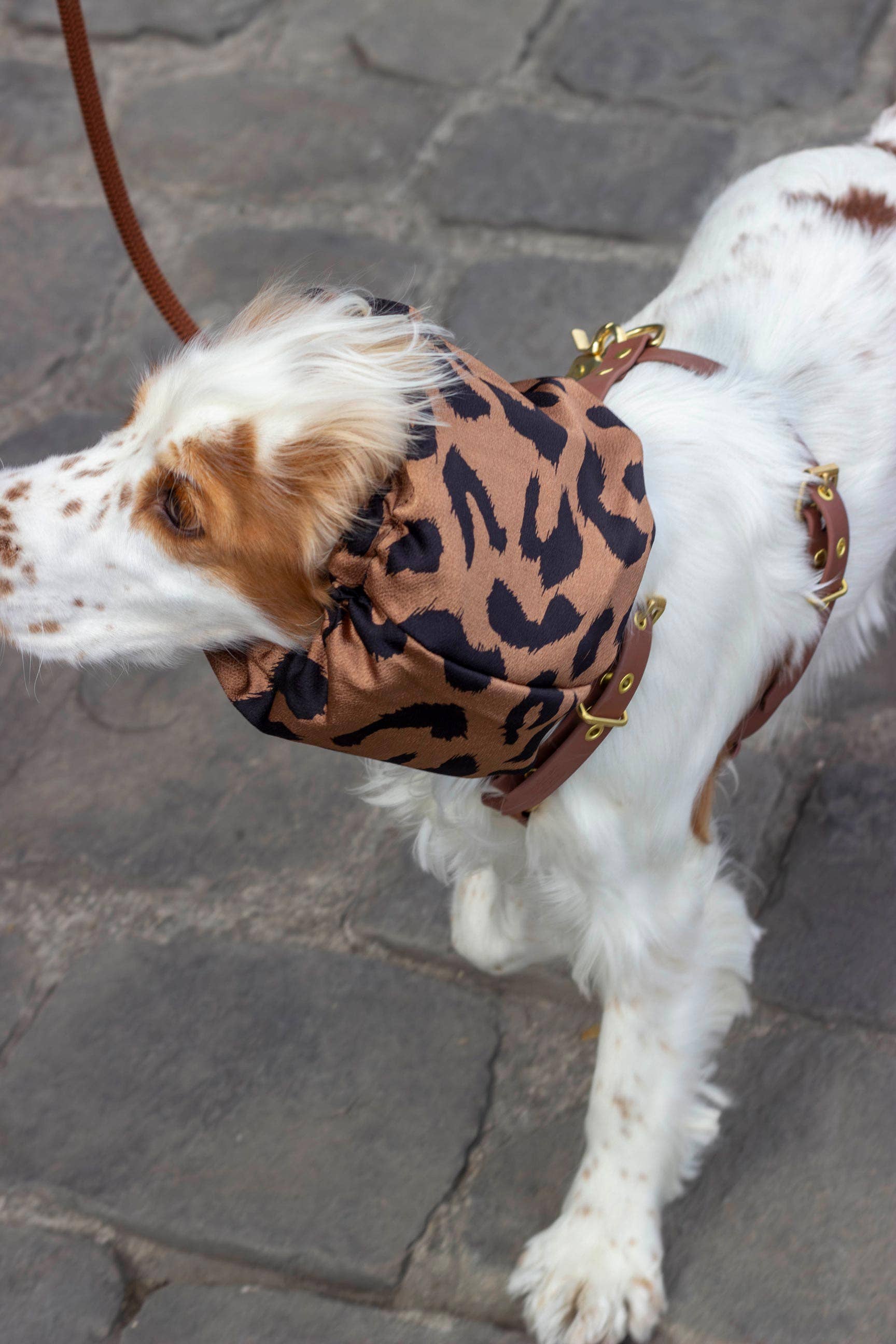 Atelier Markiz - Wholesale Pet Snood - Dog - Wild Snood2