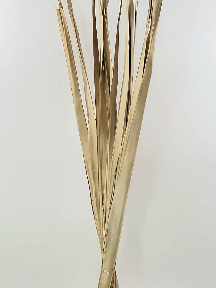 Long Palm/Sun Palm for wholesale by THE ACCESSORY COLLECTION