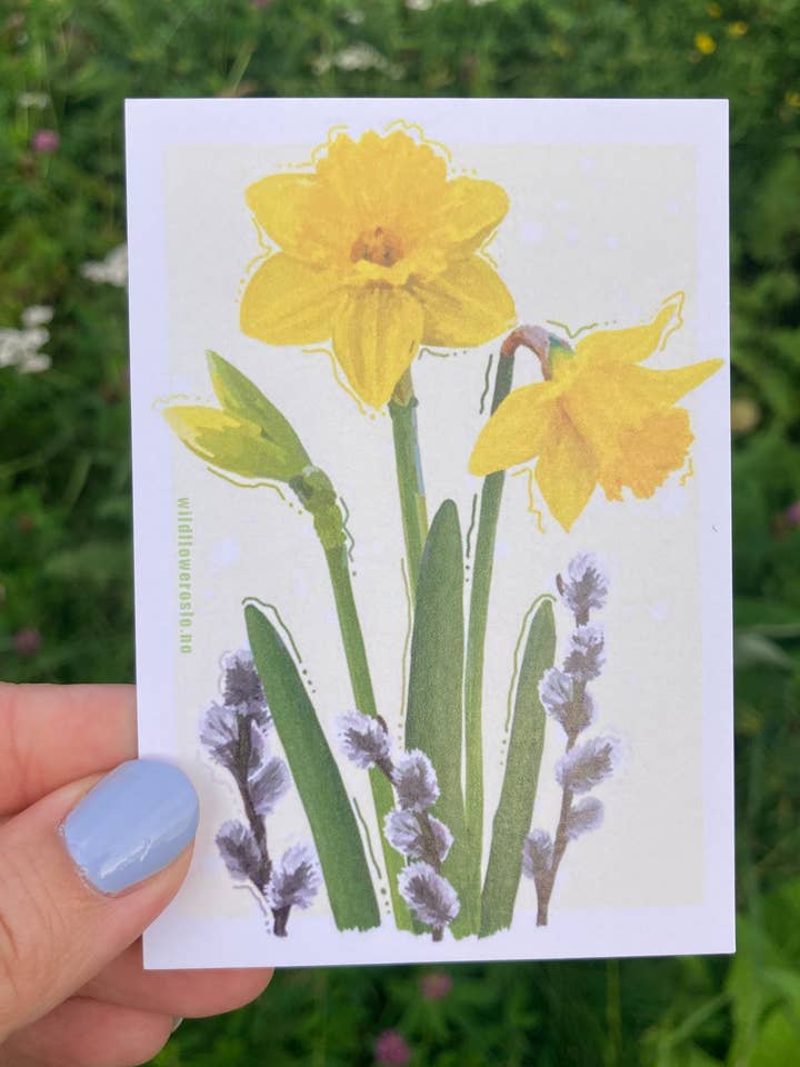 Vykort A7 # 0080 för wholesale av Wildflower Oslo