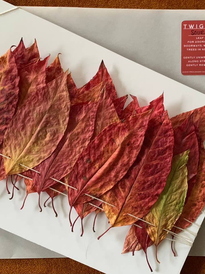 Dried Red Sourwood Leaf Garland - Autumn Decor for wholesale by Twig and Snip