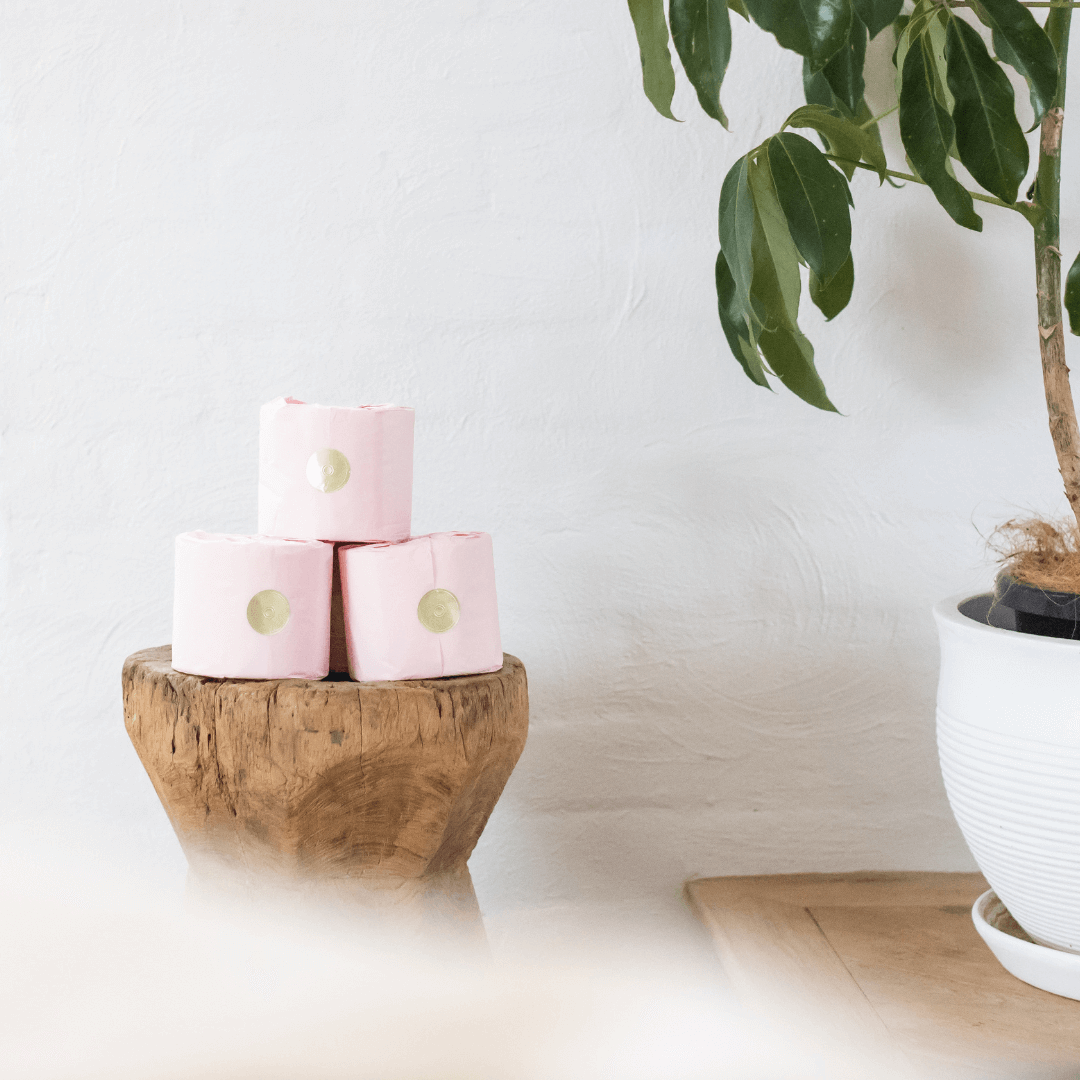 PEEKAPOO TOILET PAPER - Wholesale Toilet paper - Bamboo Toilet Paper - 24 ROLLS9