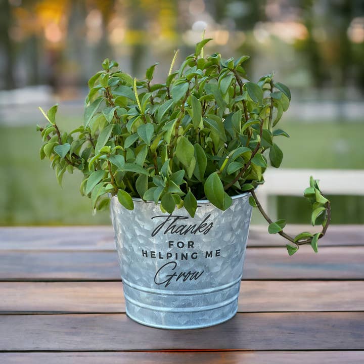 Thanks for Helping Me Grow Galvanized Bucket Planter Pot for wholesale by The Savvy Spade