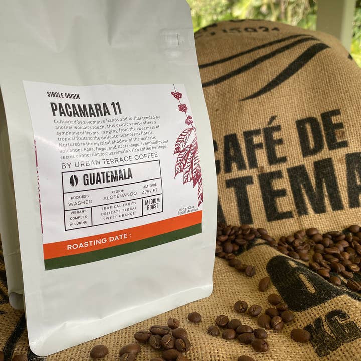 Pacamara 12oz Medium Roast | Guatemalas specialkaffe för wholesale av Urban Terrace Coffee