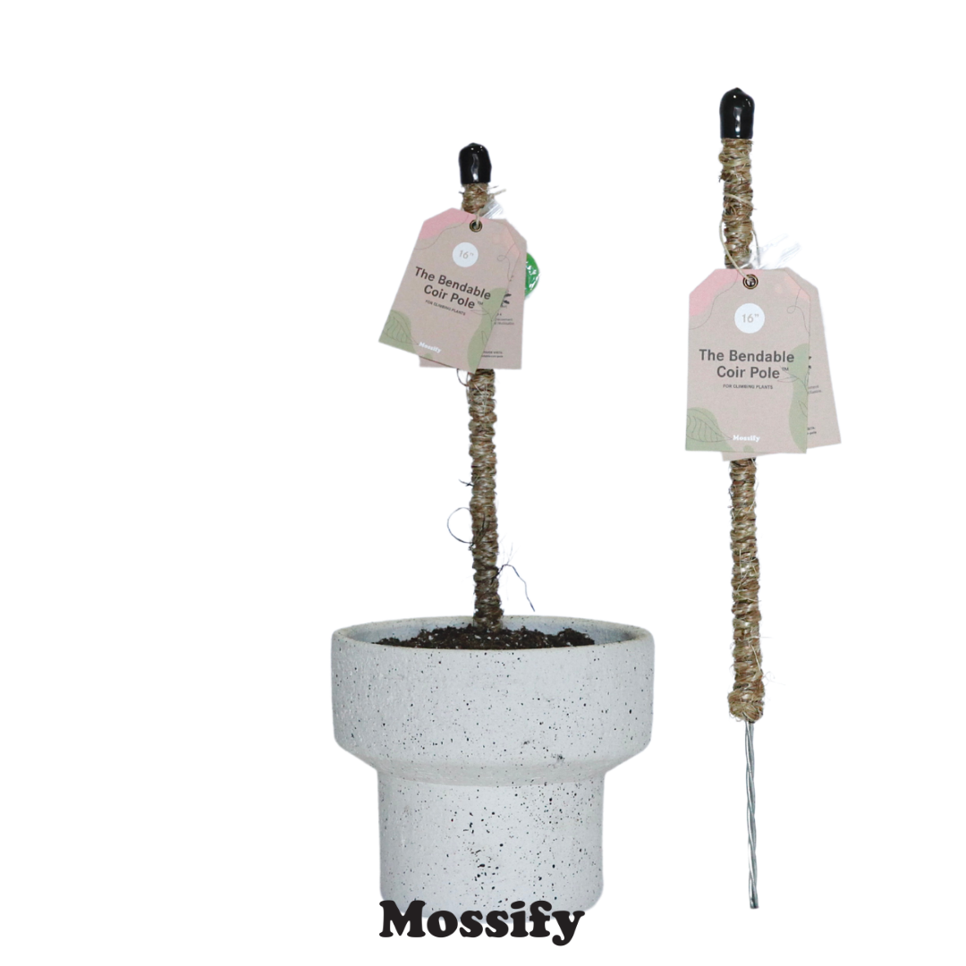 Mossify - Wholesale Trellis - Bendable Coir Pole™ – Flexible Plant Support for Tropicals0