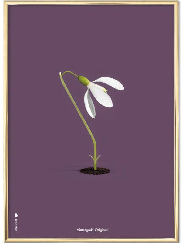 Snowdrop Bicer — Lilla Background — Classic for wholesale by Brainchild