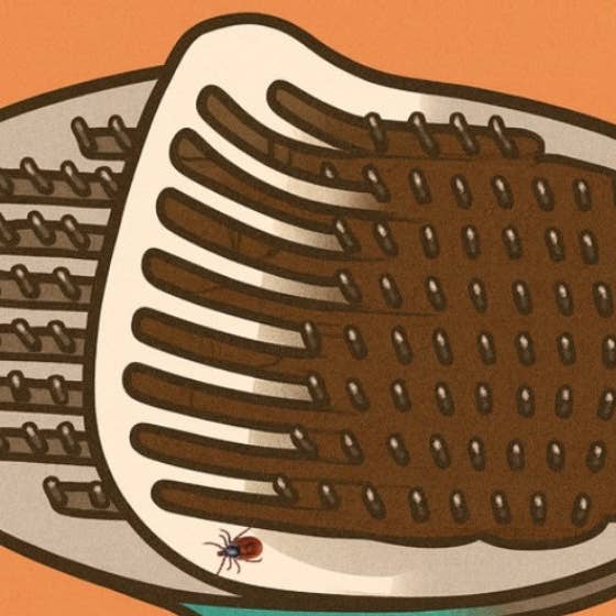 Bully Brush Sticky Sheet Replacement Packs (2 pack) for wholesale by Bully Grip