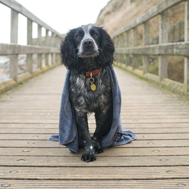 Paws & Presto - Wholesale Pet towel –Dog - Extra Large High-Performance Microfibre Dog Towel 120*80cm8