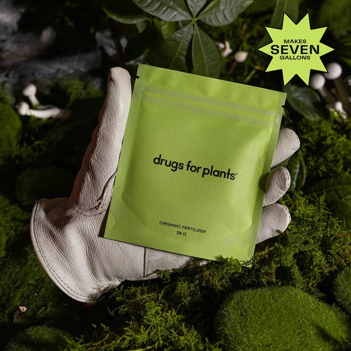 28G Pouch of Organic Fertilizer Powder for wholesale by Drugs for Plants